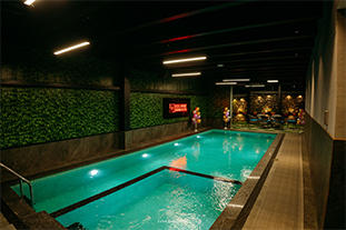 Hideaway Swimsuites